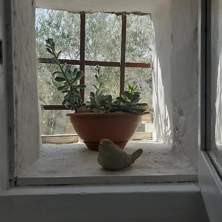 La Mia Dimora
